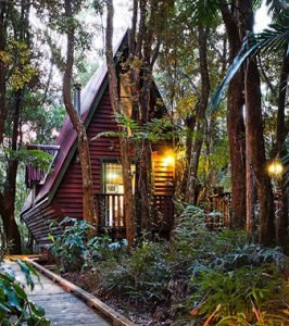 TheMouseHouse_GoldCoast